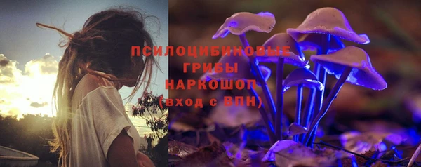 spice Кинешма