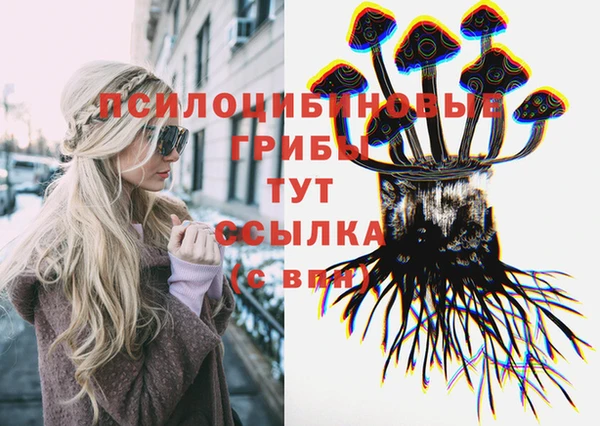 МДПВ Касимов