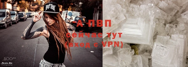 сатива Киреевск