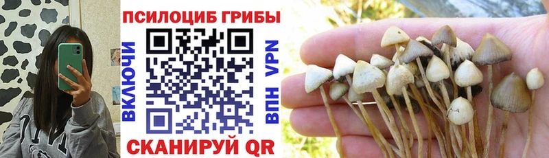 Галлюциногенные грибы мицелий Краснокамск