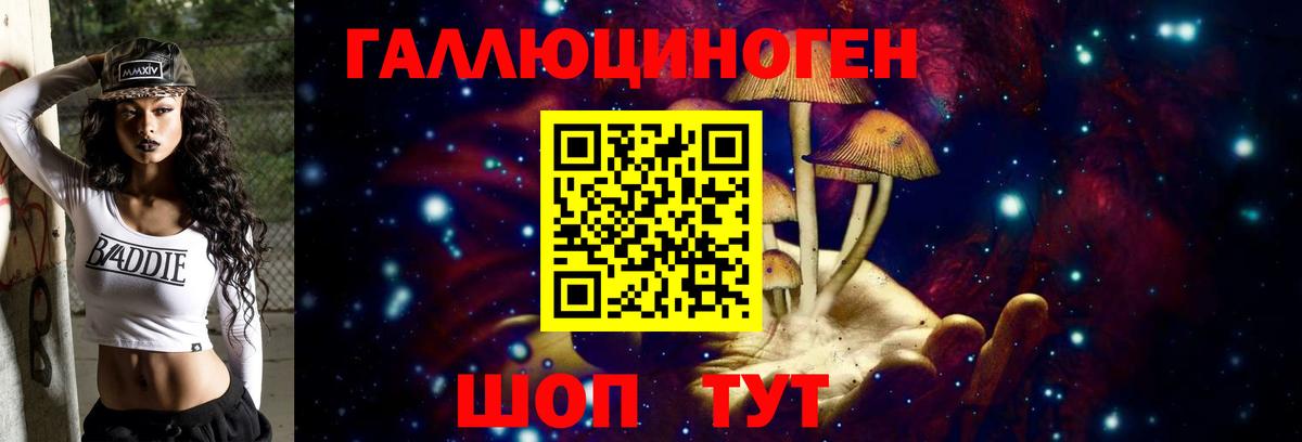 Псилоцибиновые грибы Psilocybe Краснокамск