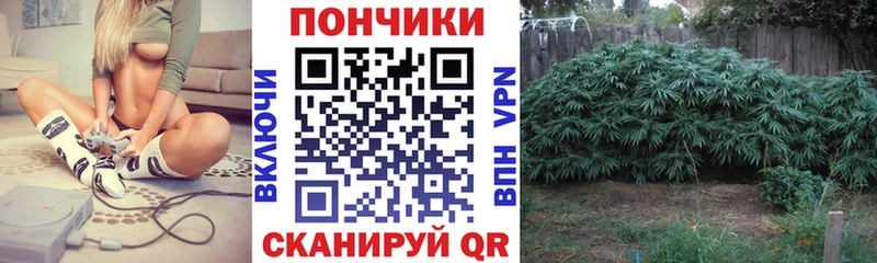 МАРИХУАНА сатива Краснокамск